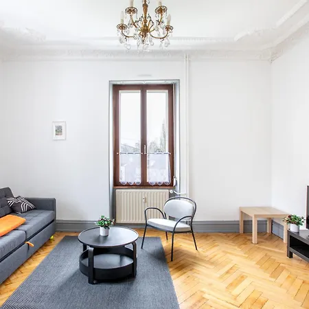 T3 Rdc Plein Sud Lumineux Apartment Altkirch